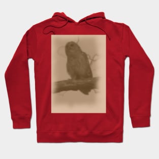 Vintage Owl Hoodie